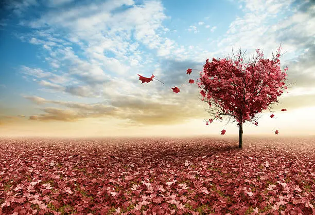 Long Distance Love Quotes For Husband MYWISHESSMS