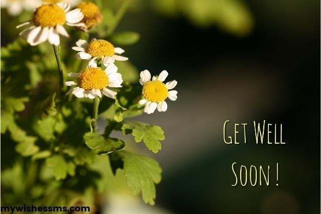 Get Well Soon Messages for Honey