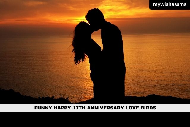 Funny Happy 13th Anniversary Love Birds