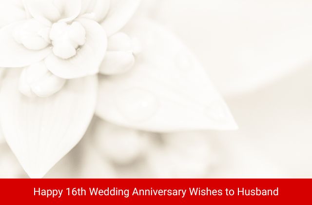 Happy 16th Wedding Anniversary Wishes to Husband